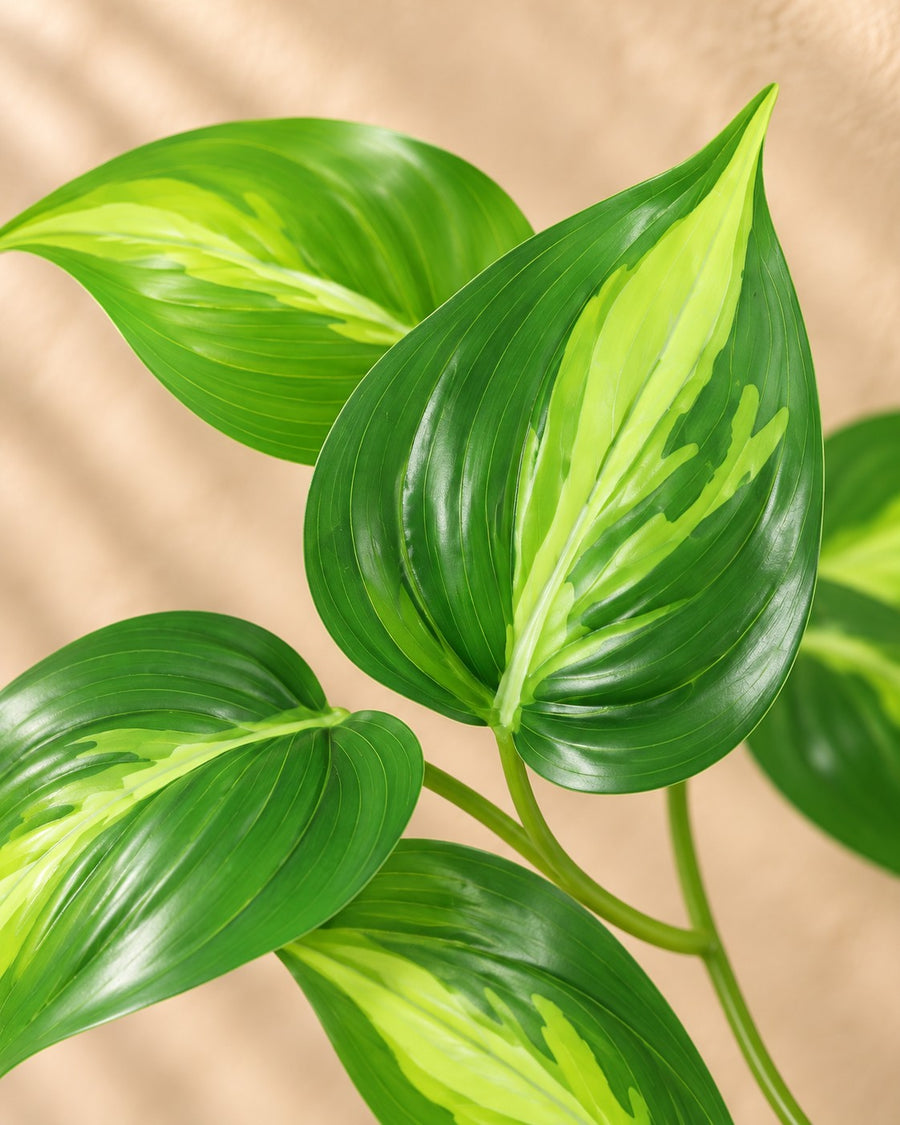 Kunstplant Epipremnum Variegata 23cm - ø9