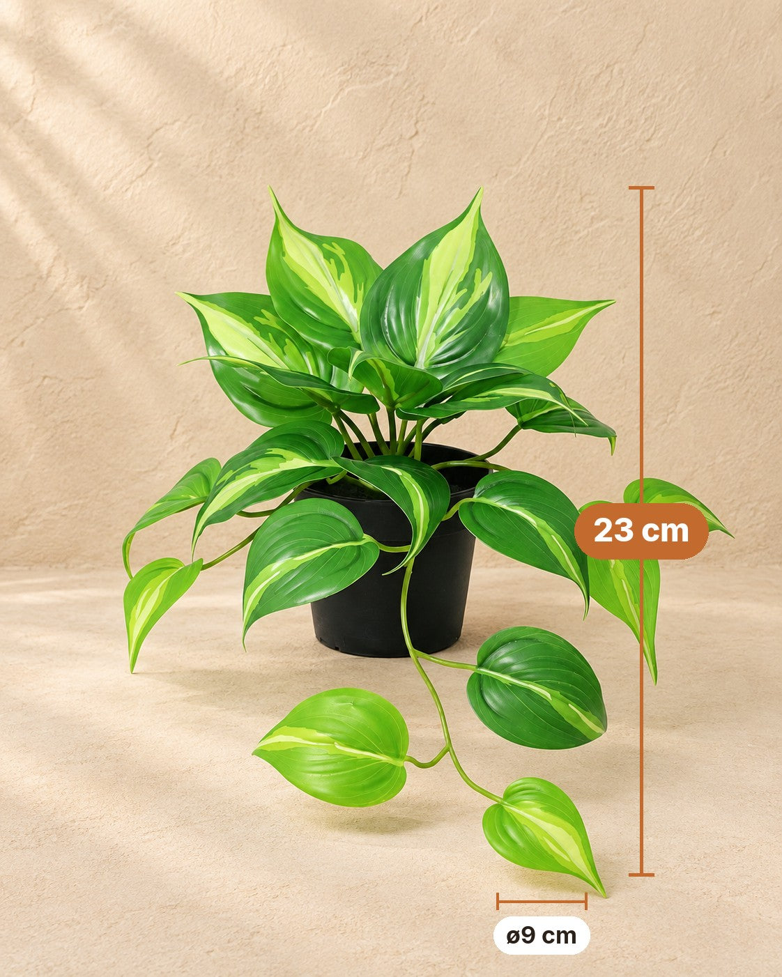 Afmetingen Kunstplant Epipremnum Variegata: 23 cm hoog, pot ø9 cm