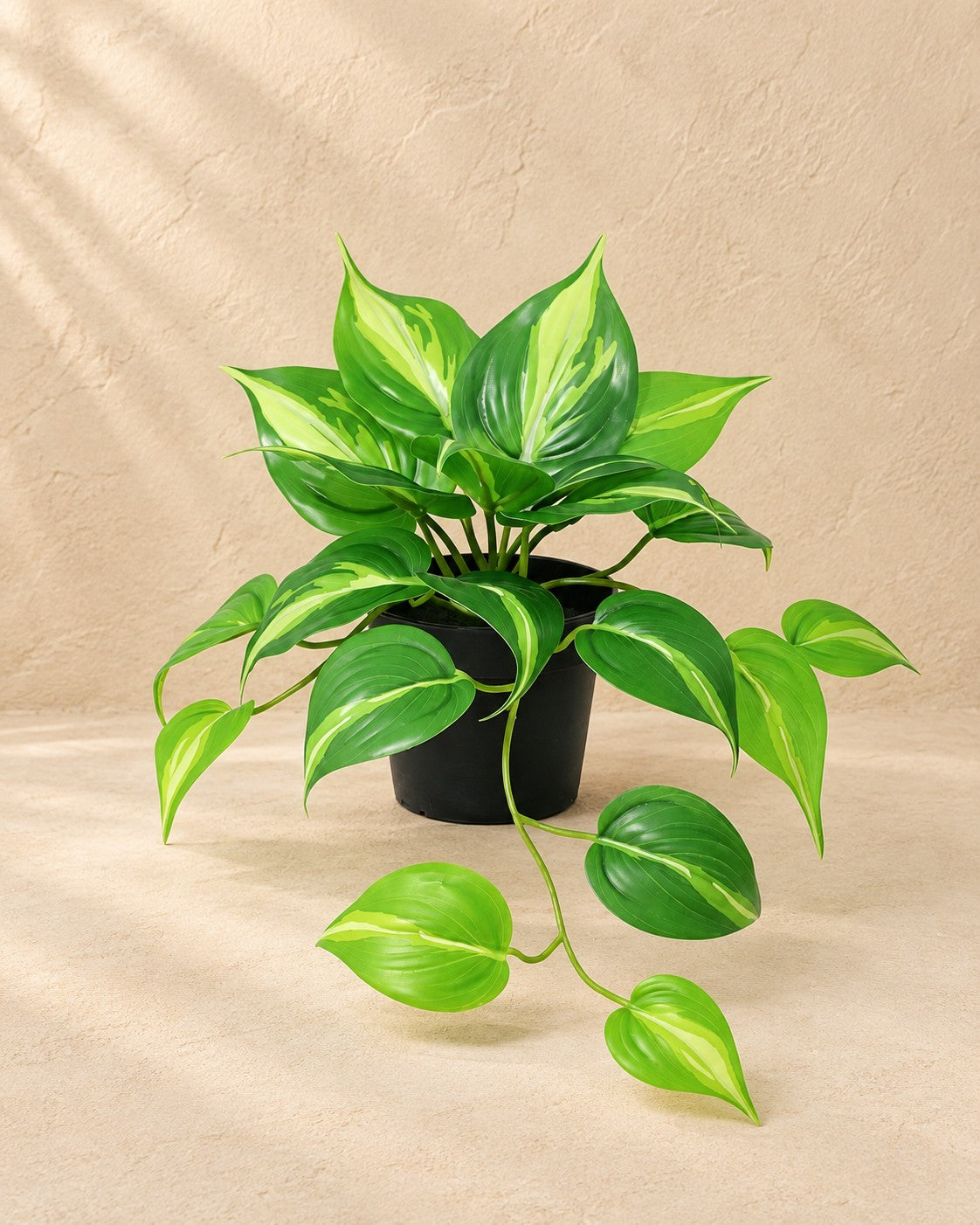 Sztuczna roślina Epipremnum Variegata (Epipremnum aureum), wysokość 23 cm, w doniczce 9 cm