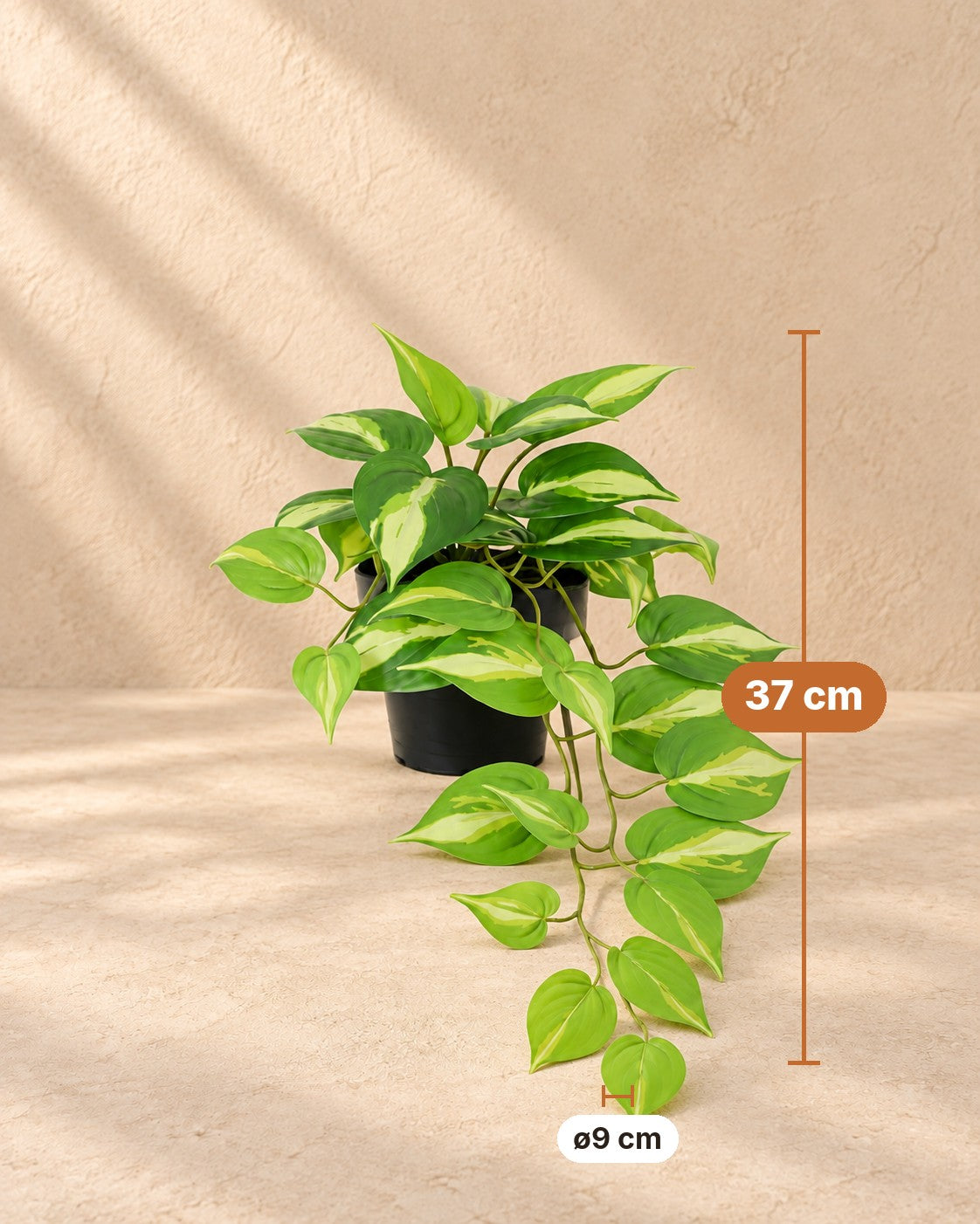 Afmetingen Kunstplant Epipremnum Variegata: 37 cm hoog, pot ø9 cm