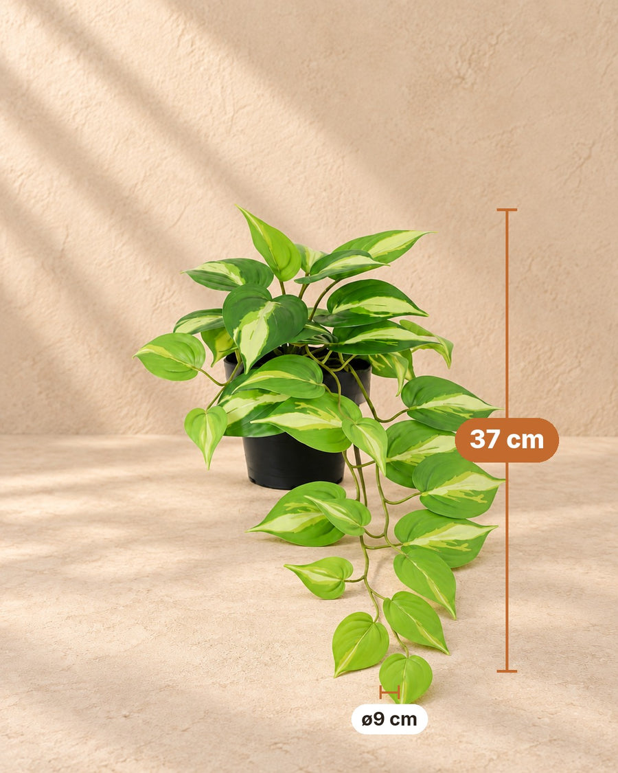 Kunstplant Epipremnum Variegata 37cm - ø9