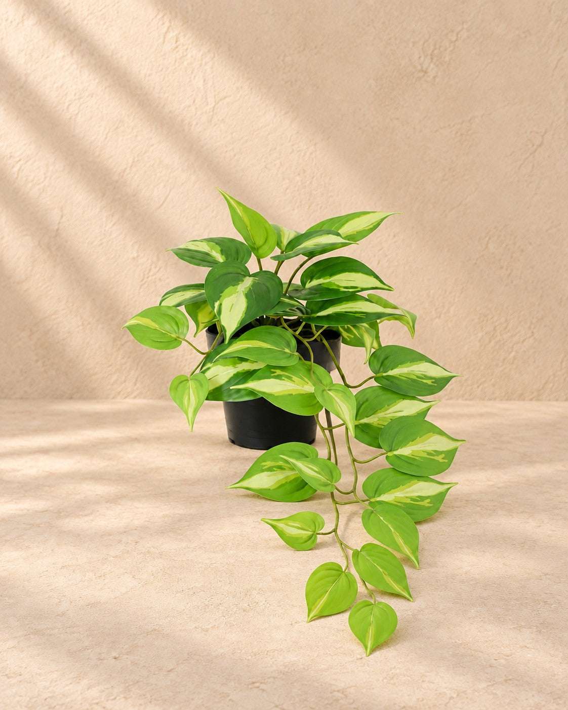 Planta artificial Epipremnum Variegata (Epipremnum aureum), 37 cm de altura en maceta de 9 cm