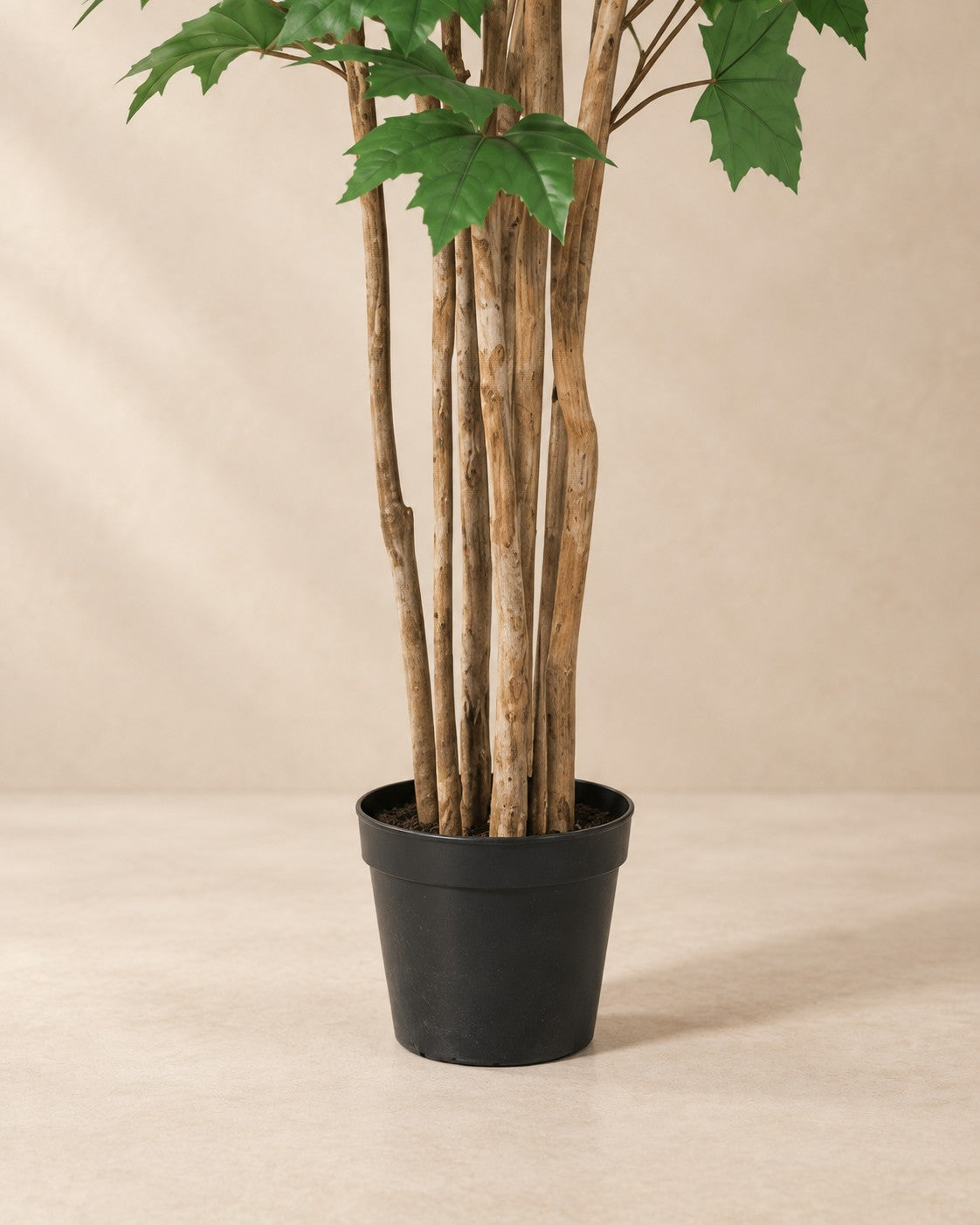Onderste deel van de Kunstplant Esdoorn (Acer sp.) met de pot