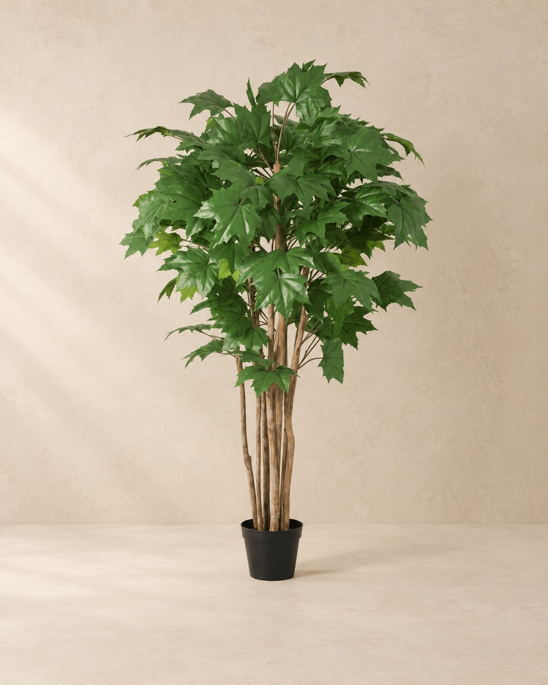 Arce artificial (Acer sp.), 150 cm de altura en maceta de 18 cm