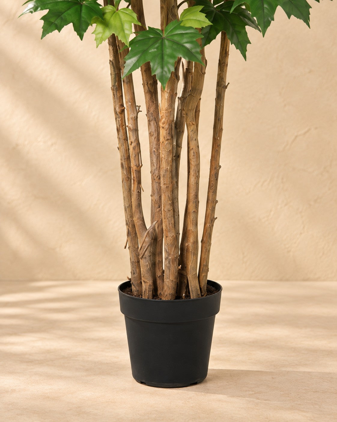 Onderste deel van de Kunstplant Esdoorn (Acer sp.) met de pot