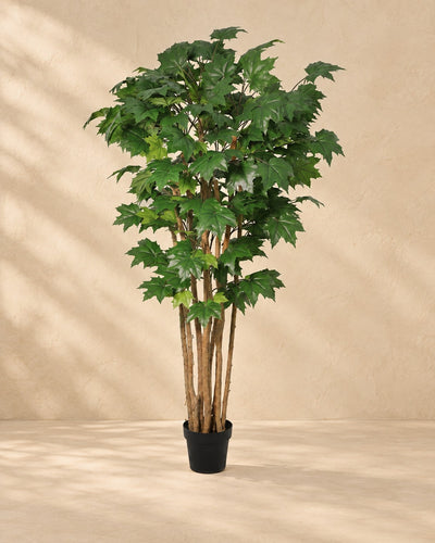Kunstplant Esdoorn (Acer sp.) van 180 cm hoog in pot van 20 cm