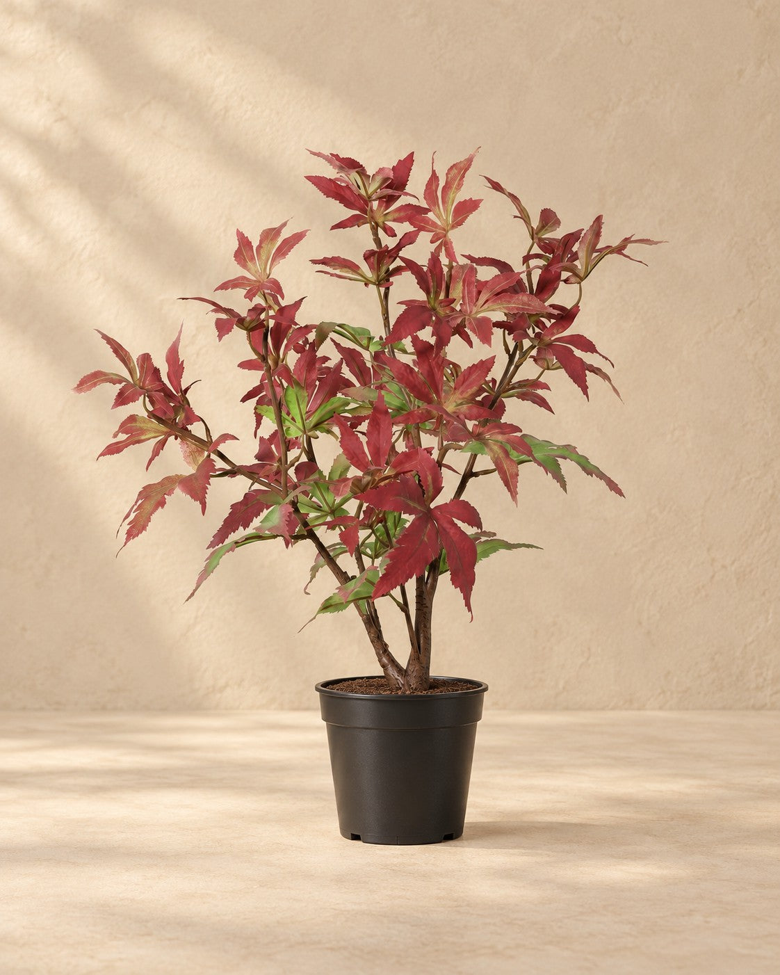 Planta artificial arce (Acer sp.), 53 cm de altura en maceta de 13 cm