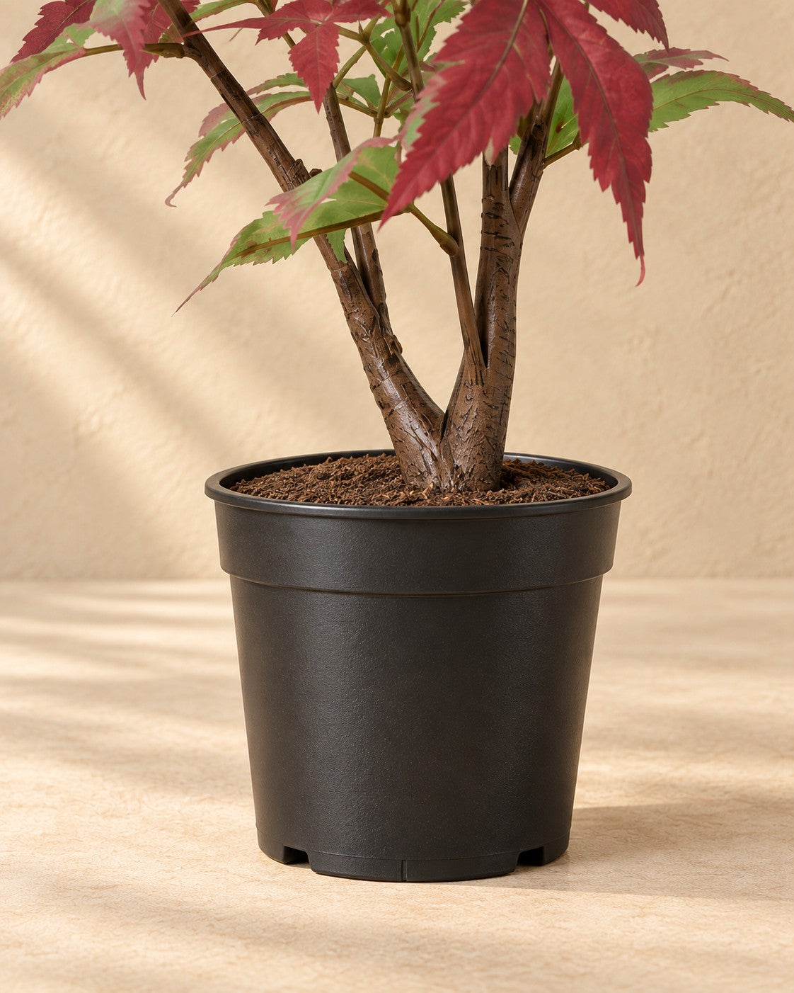 Parte inferior de Planta artificial arce (Acer sp.) con su maceta