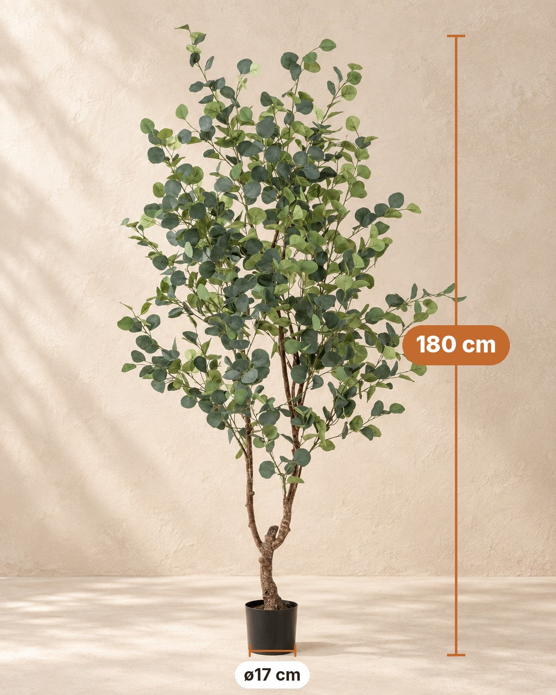 Dimensions of the Artificial plant Eucalyptus: 180 cm tall, pot ø17 cm