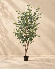 Artificial Eucalyptus (Eucalyptus sp.), 140 cm tall in a 15 cm pot