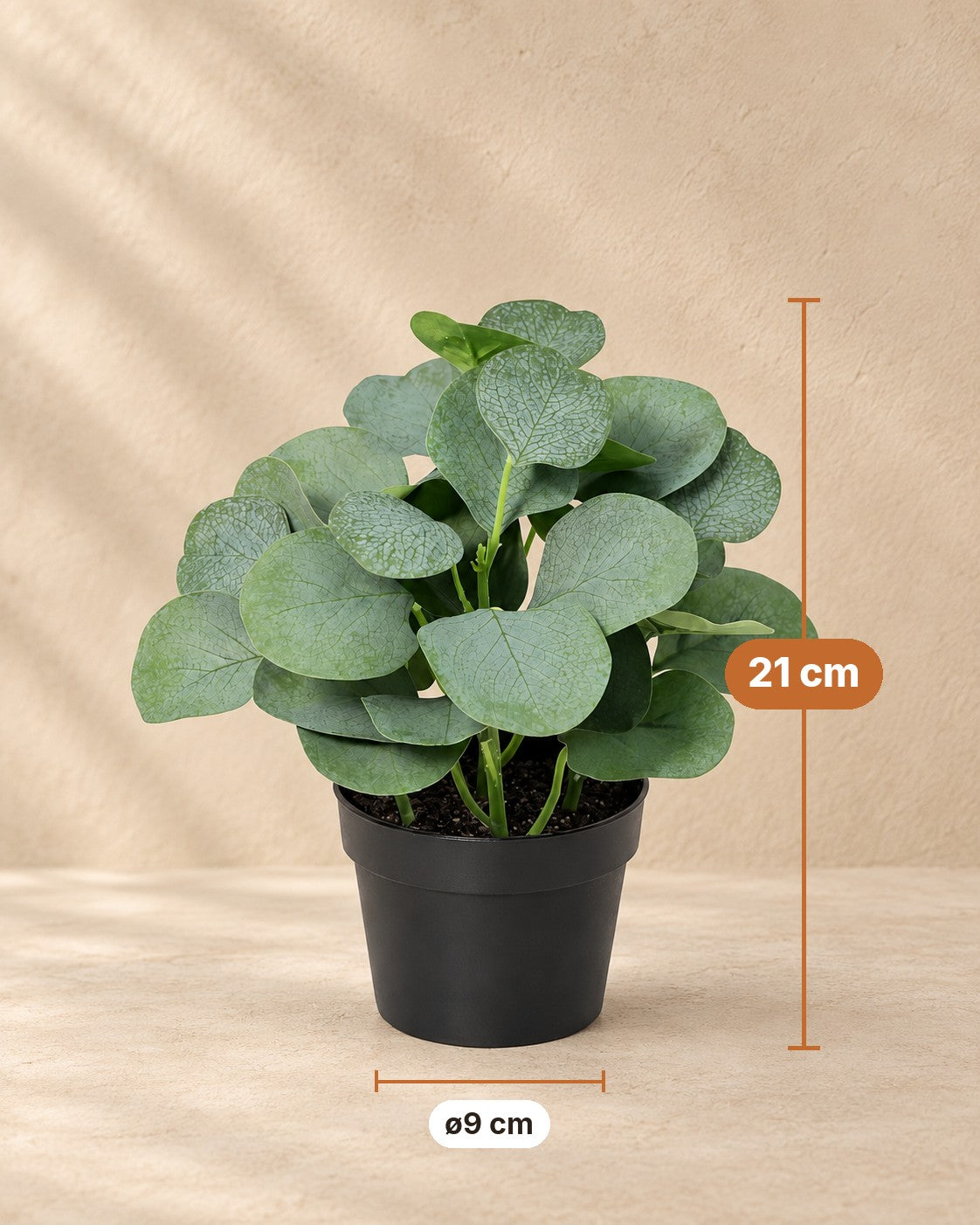 Afmetingen Kunstplant Eucalyptus: 21 cm hoog, pot ø9 cm