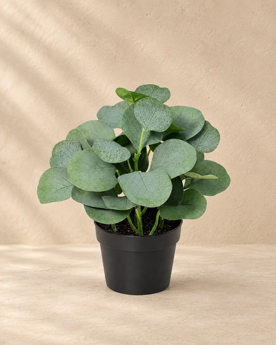 Kunstplant Eucalyptus (Eucalyptus sp.) van 21 cm hoog in pot van 9 cm