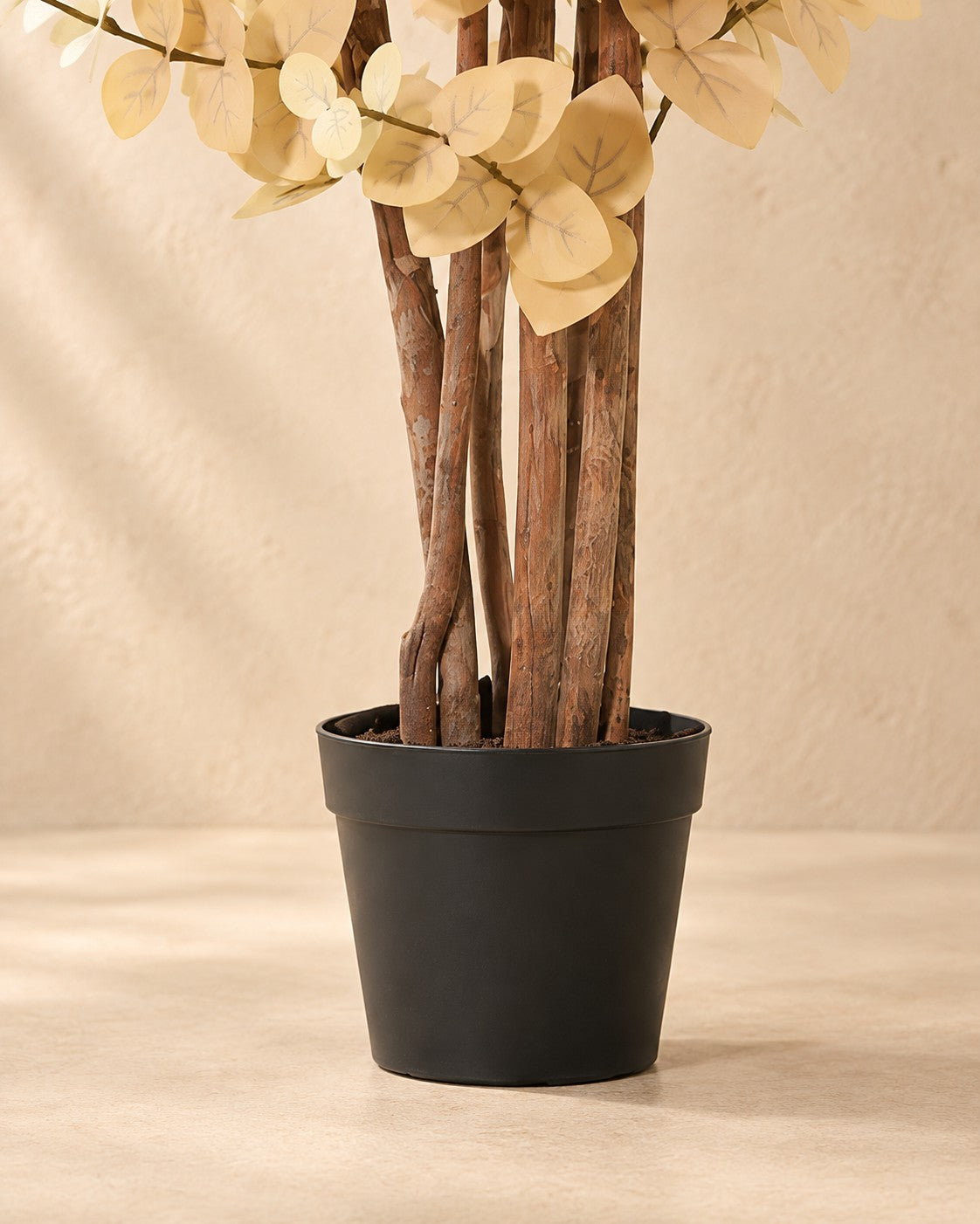 Onderste deel van de Kunstplant Eucalyptus geel (Eucalyptus sp.) met de pot