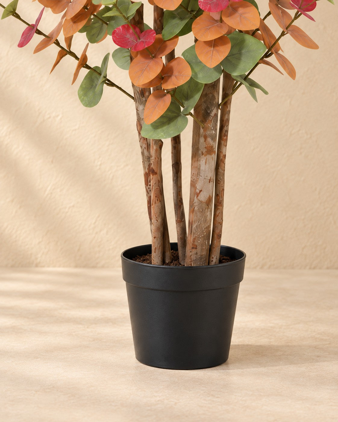 Onderste deel van de Kunstplant Eucalyptus gekleurd (Eucalyptus sp.) met de pot