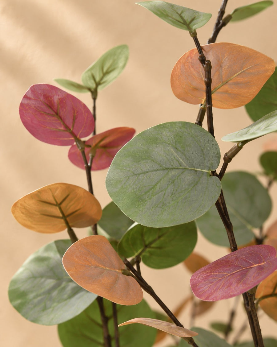 Kunstplant Eucalyptus gekleurd 86cm - ø13