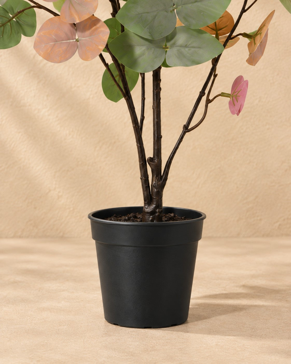 Onderste deel van de Kunstplant Eucalyptus gekleurd (Eucalyptus sp.) met de pot