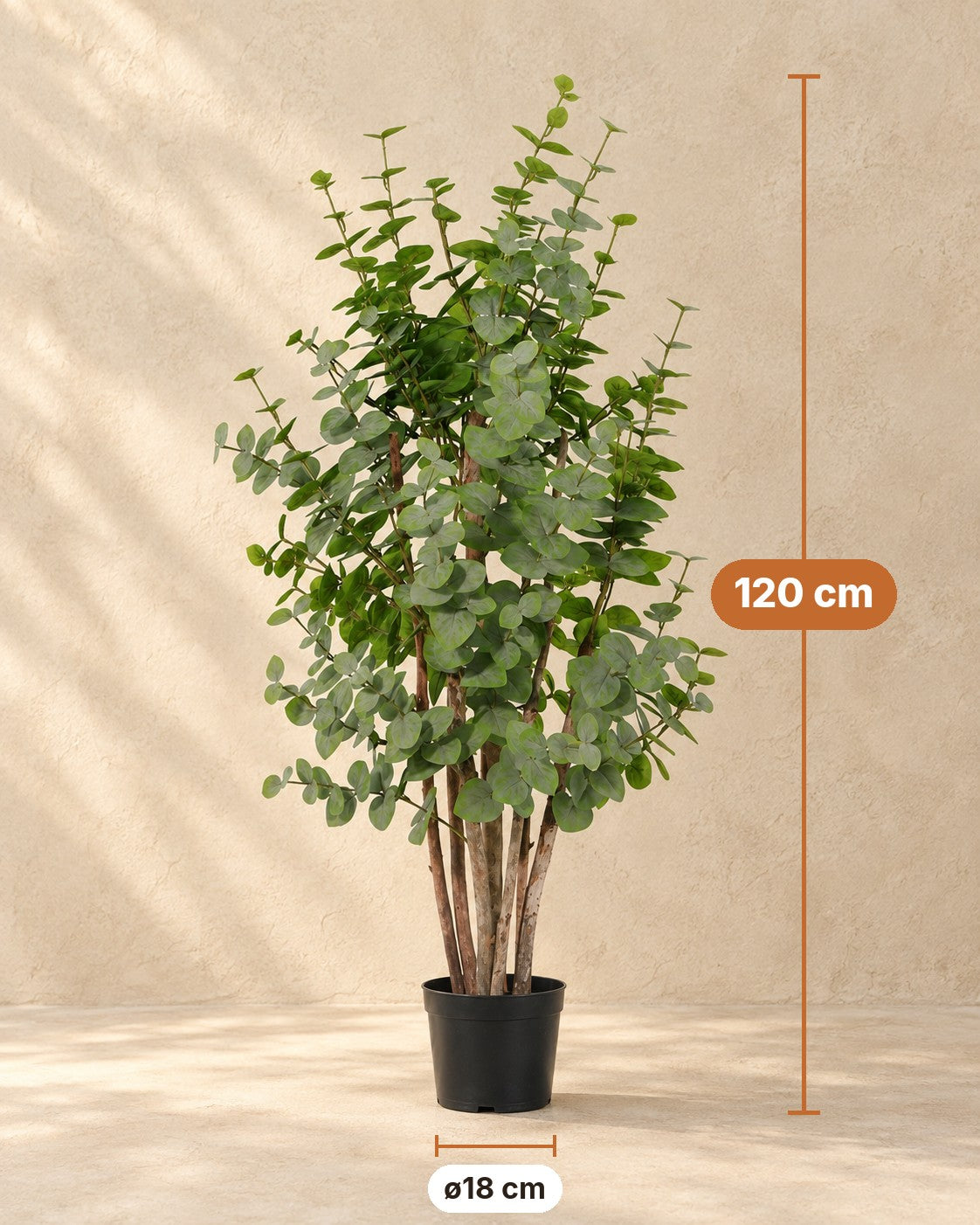 Afmetingen Kunstplant Eucalyptus groen: 120 cm hoog, pot ø18 cm