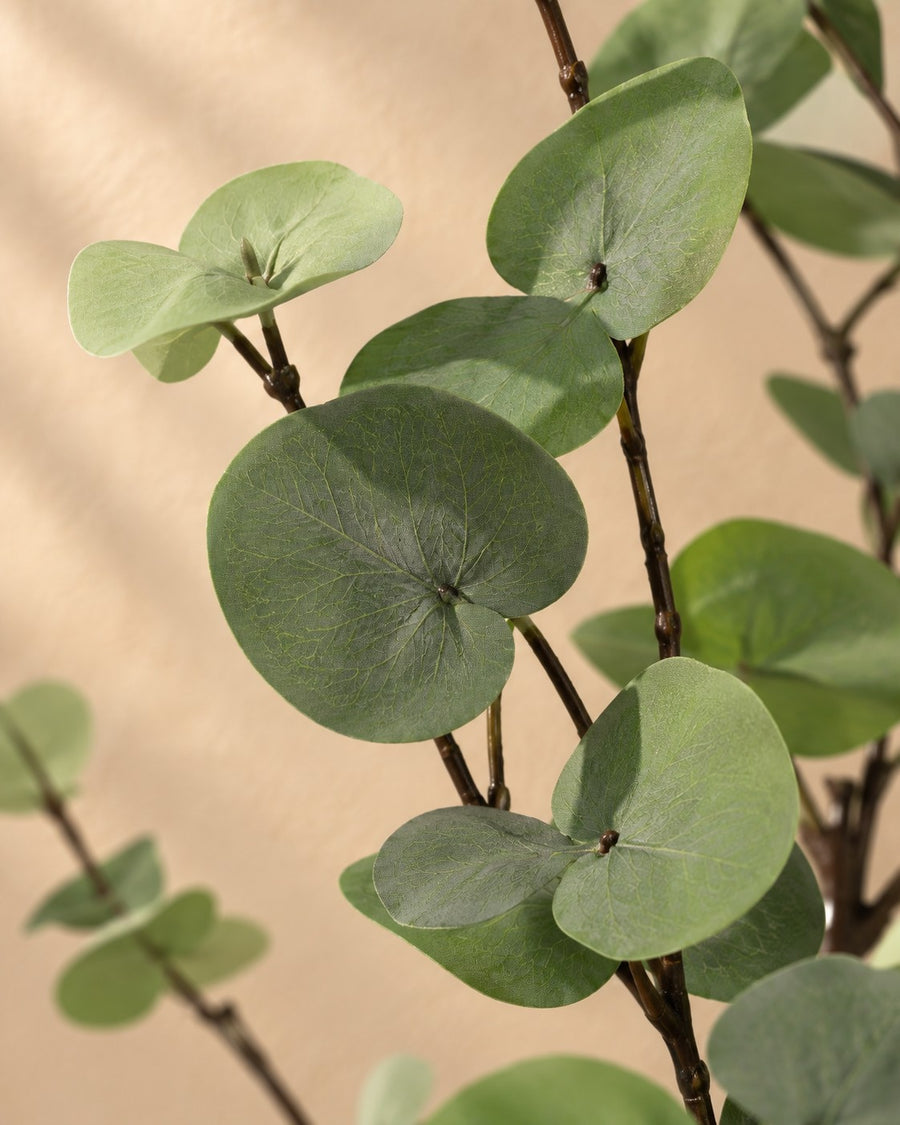 Kunstplant Eucalyptus groen 86cm - ø13