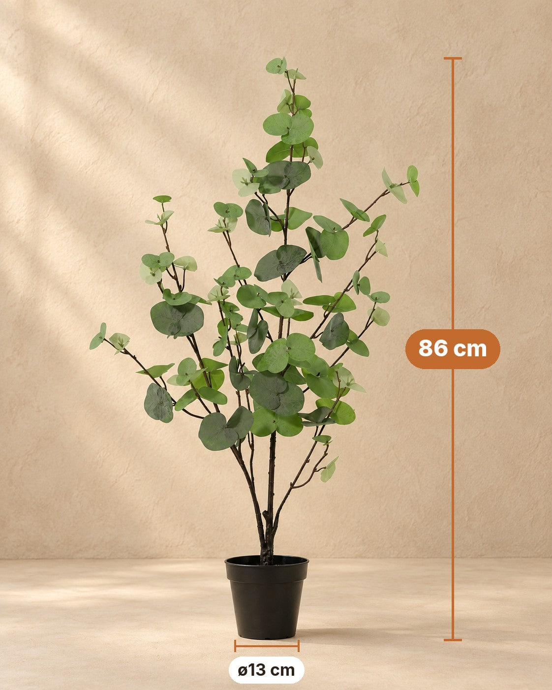 Afmetingen Kunstplant Eucalyptus groen: 86 cm hoog, pot ø13 cm