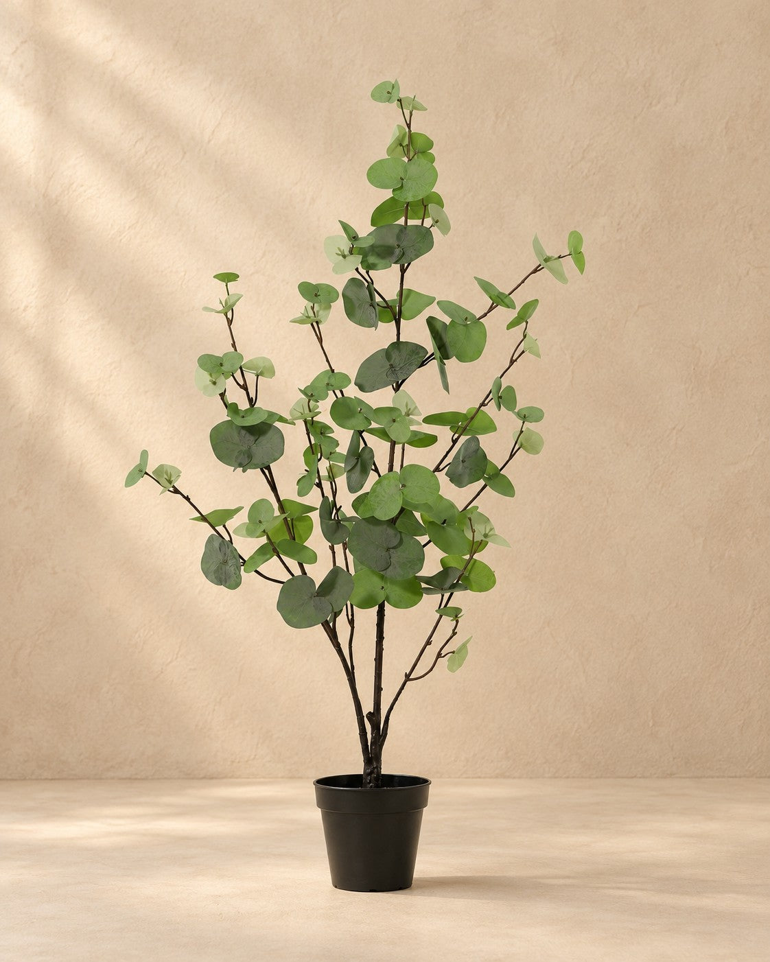Kunstplant Eucalyptus groen (Eucalyptus sp.) van 86 cm hoog in pot van 13 cm
