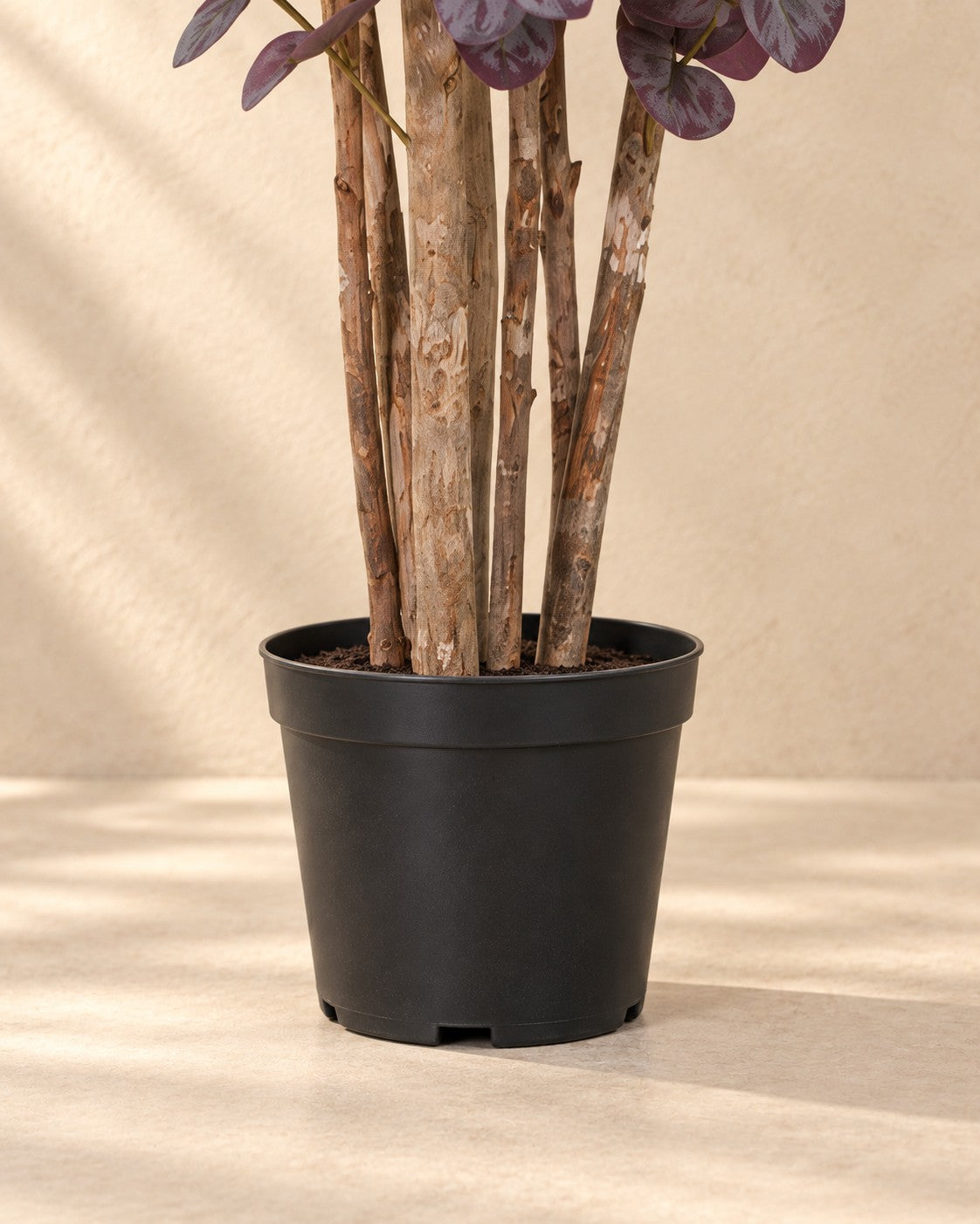 Onderste deel van de Kunstplant Eucalyptus paars (Eucalyptus sp.) met de pot