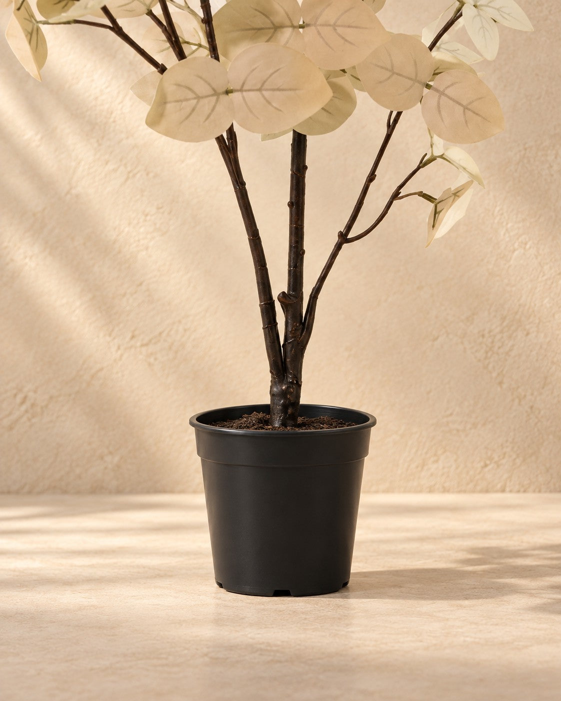 Onderste deel van de Kunstplant Eucalyptus wit (Eucalyptus sp.) met de pot