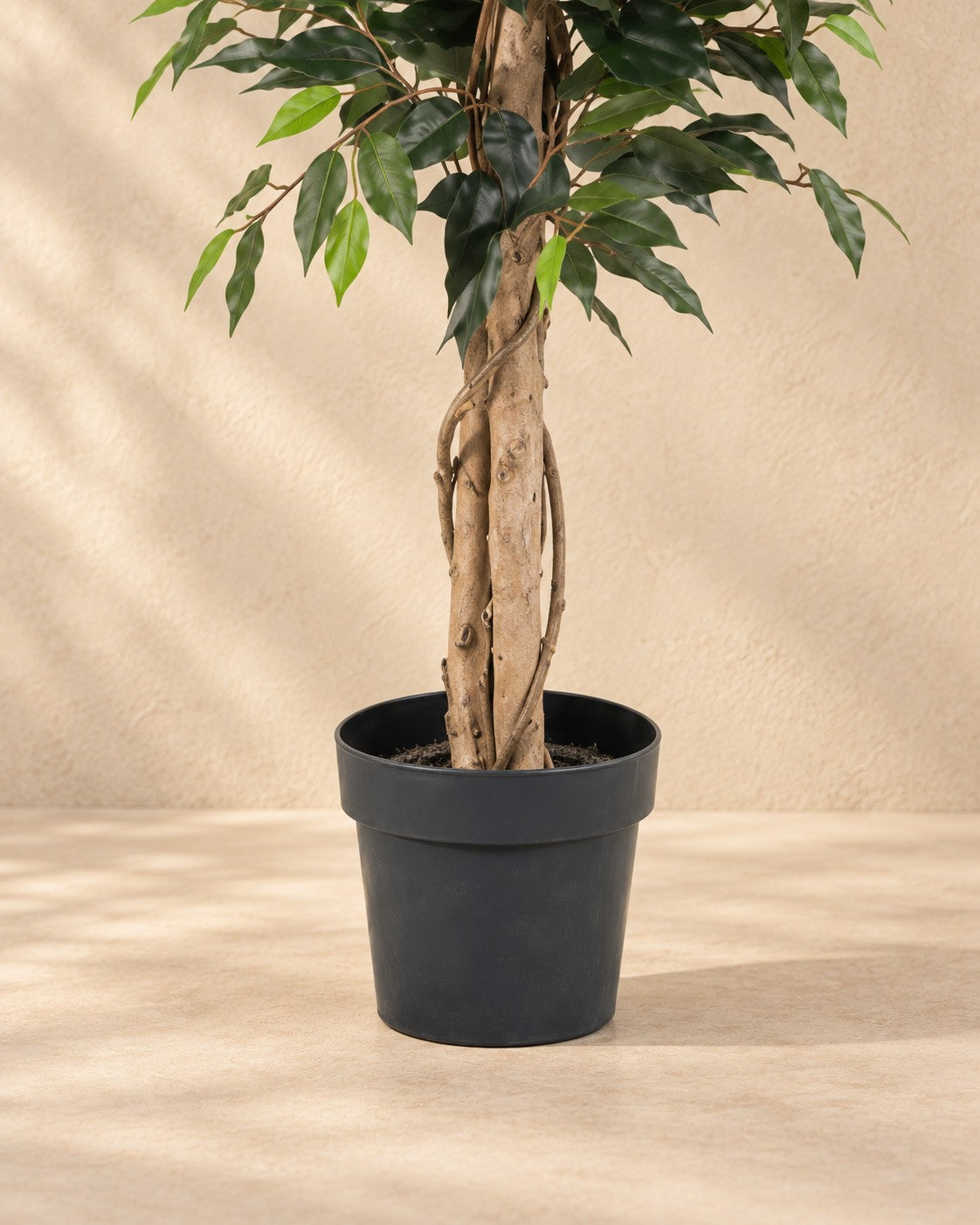 Onderste deel van de Kunstplant Ficus Benjamina met de pot