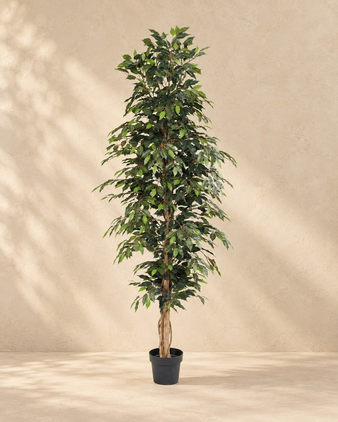 Sztuczna roślina Ficus Benjamina, wysokość 205 cm, w doniczce 20 cm