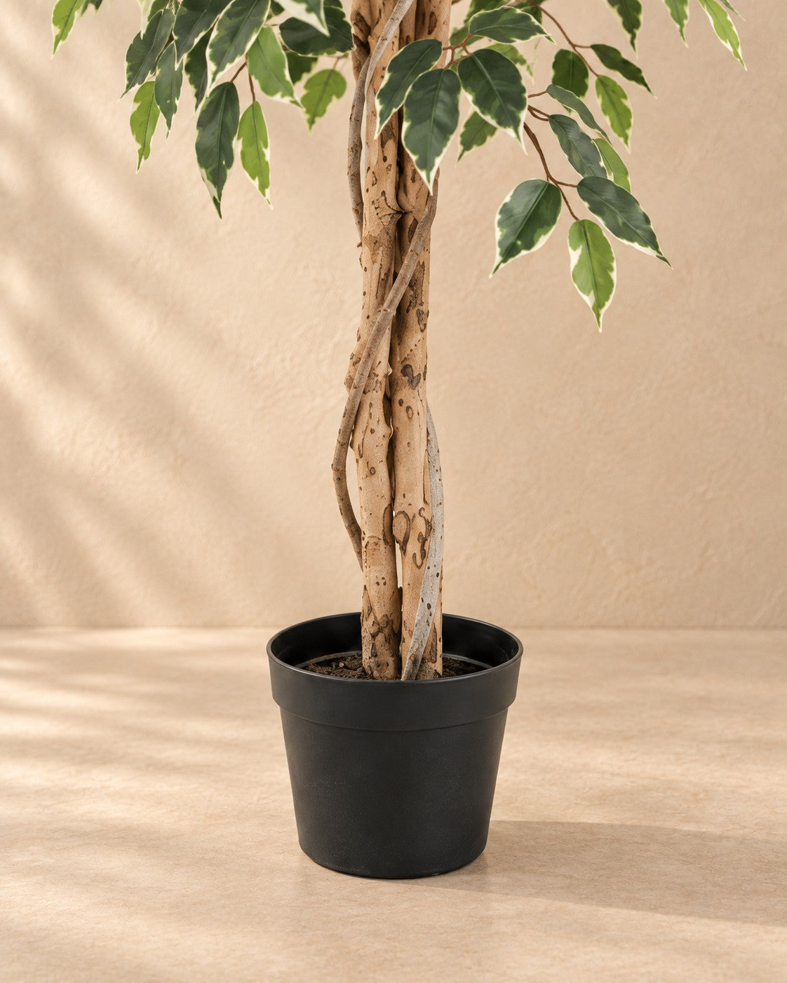 Onderste deel van de Kunstplant Ficus Benjamina Variegata (Ficus benjamina 'Variegata') met de pot