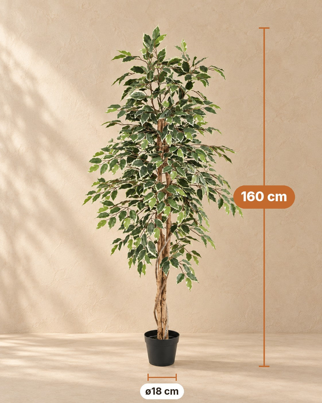 Afmetingen Kunstplant Ficus Benjamina Variegata: 160 cm hoog, pot ø18 cm