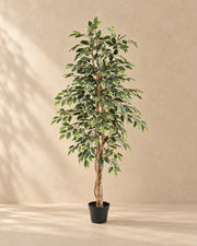 Kunstplant Ficus Benjamina Variegata (Ficus benjamina 'Variegata') van 160 cm hoog in pot van 18 cm