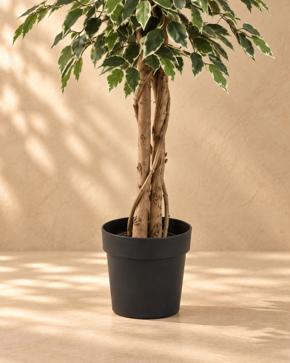 Onderste deel van de Kunstplant Ficus Benjamina Variegata (Ficus benjamina 'Variegata') met de pot