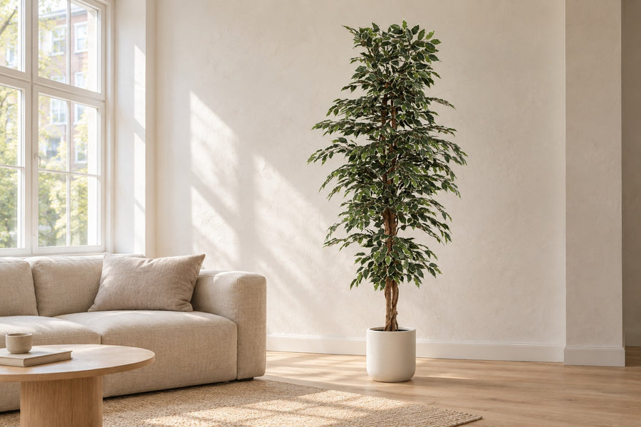 Kunstplant Ficus Benjamina Variegata 205cm - ø20