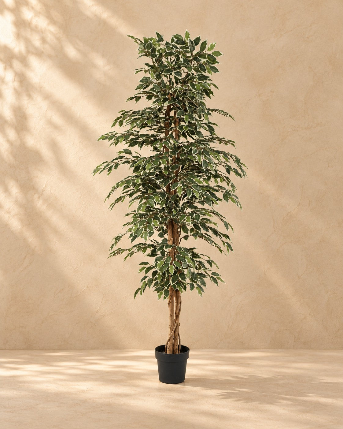 Kunstplant Ficus Benjamina Variegata (Ficus benjamina 'Variegata') van 205 cm hoog in pot van 20 cm