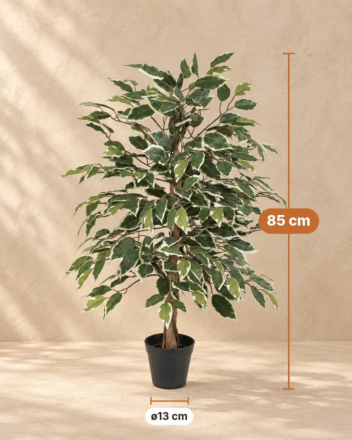 Kunstpflanze Ficus Benjamina Variegata, 85 cm