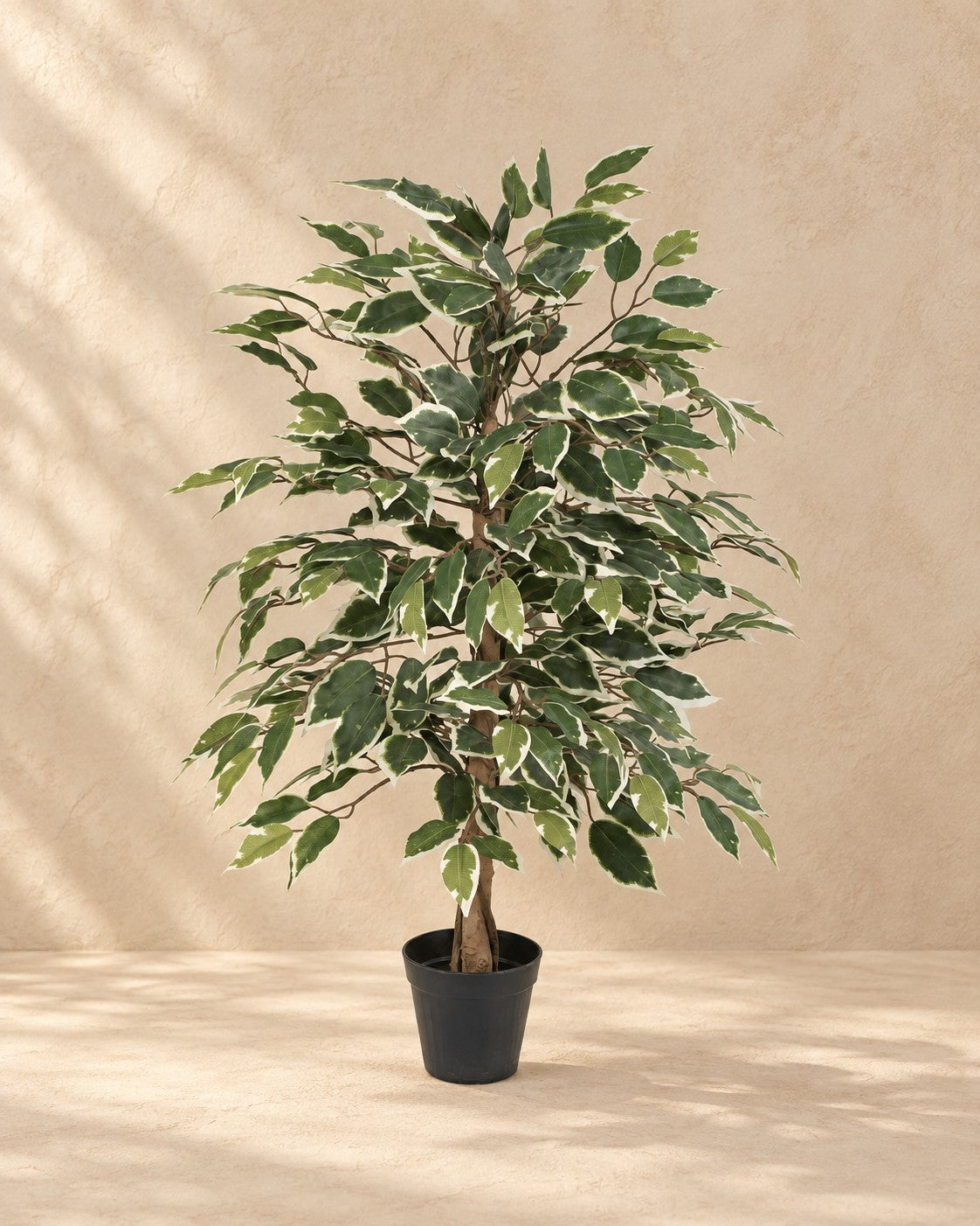 Sztuczna roślina Ficus Benjamina Variegata (Ficus benjamina 'Variegata'), wysokość 85 cm, w doniczce 13 cm