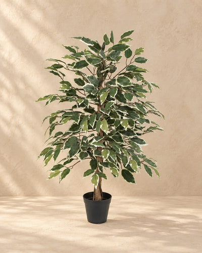 Kunstplant Ficus Benjamina Variegata (Ficus benjamina 'Variegata') van 85 cm hoog in pot van 13 cm
