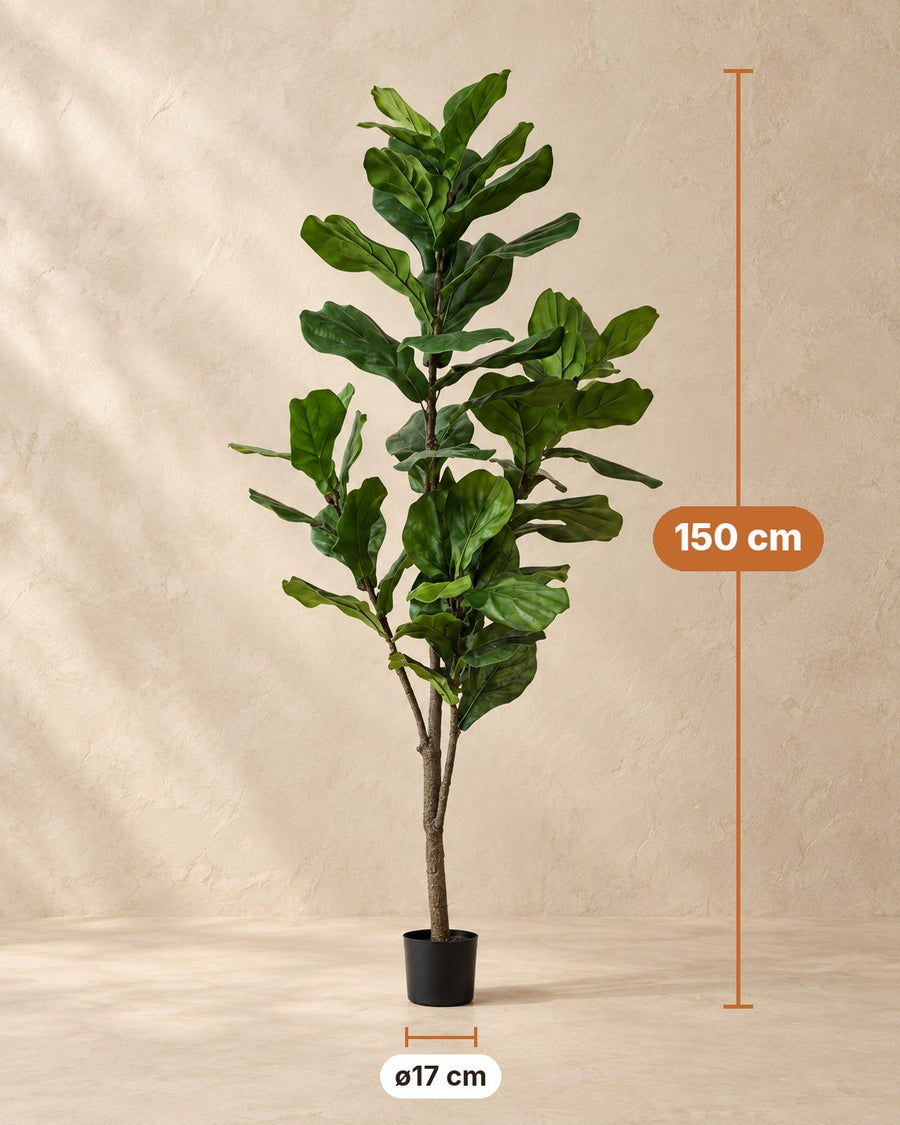 Kunstpflanze Ficus lyrata | 150 cm