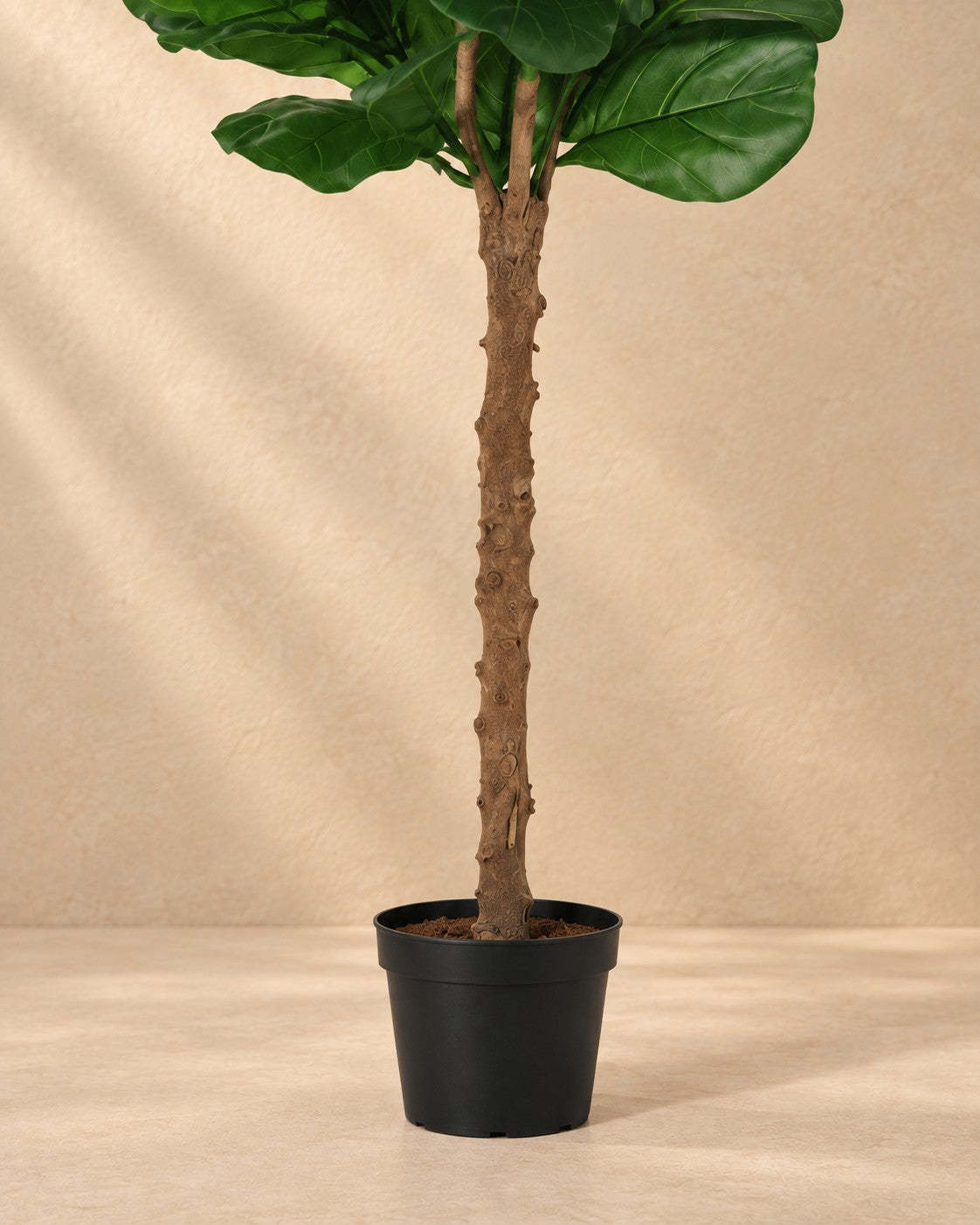 Onderste deel van de Kunstplant Ficus Lyrata met de pot