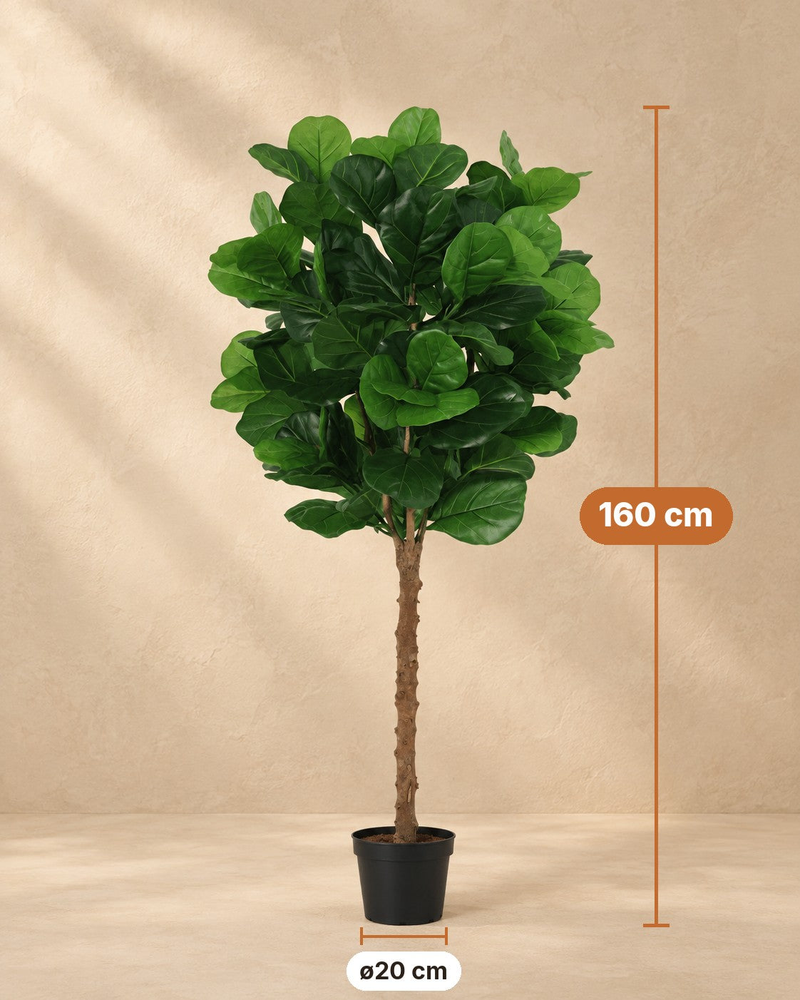 Afmetingen Kunstplant Ficus Lyrata: 160 cm hoog, pot ø20 cm