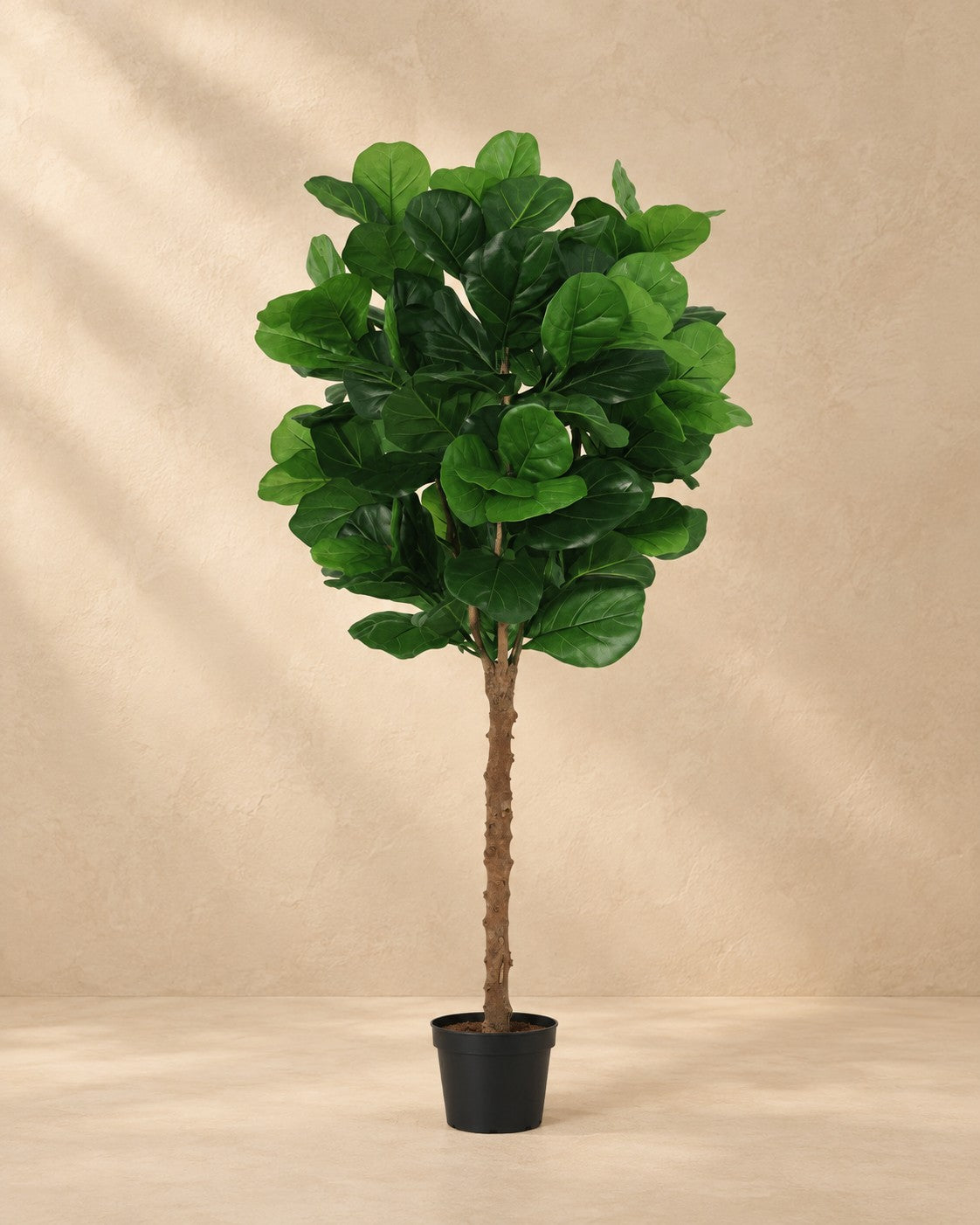 Kunstplant Ficus Lyrata van 160 cm hoog in pot van 20 cm