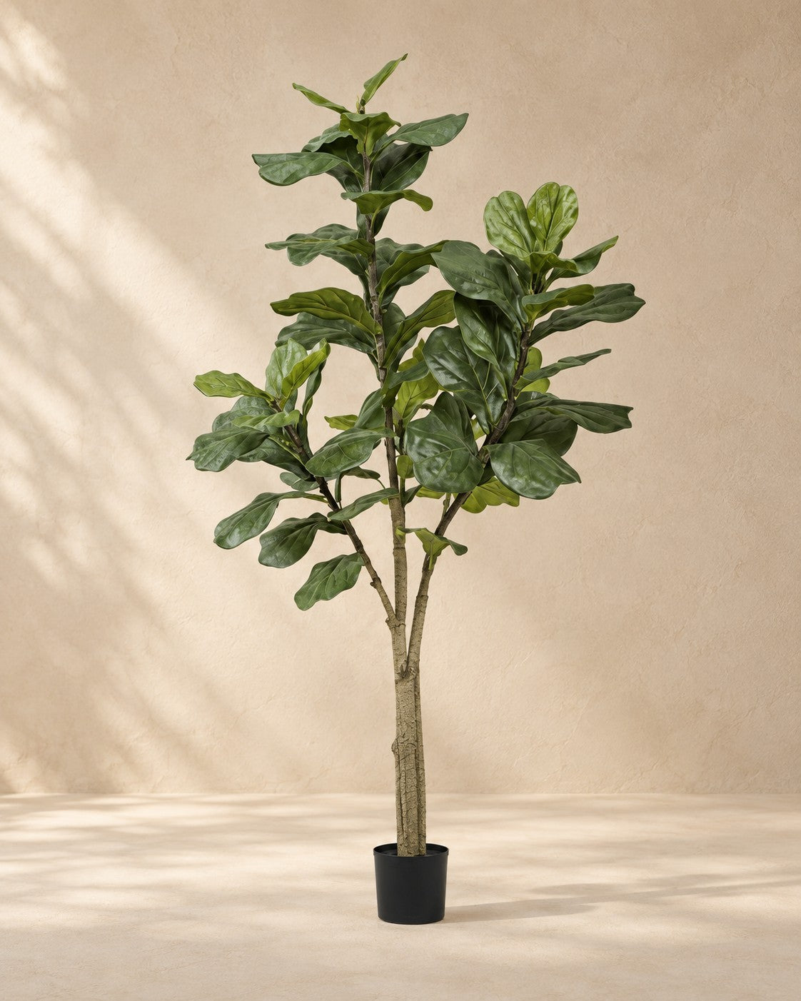 Sztuczna roślina Ficus lyrata, wysokość 180 cm, w doniczce 17 cm