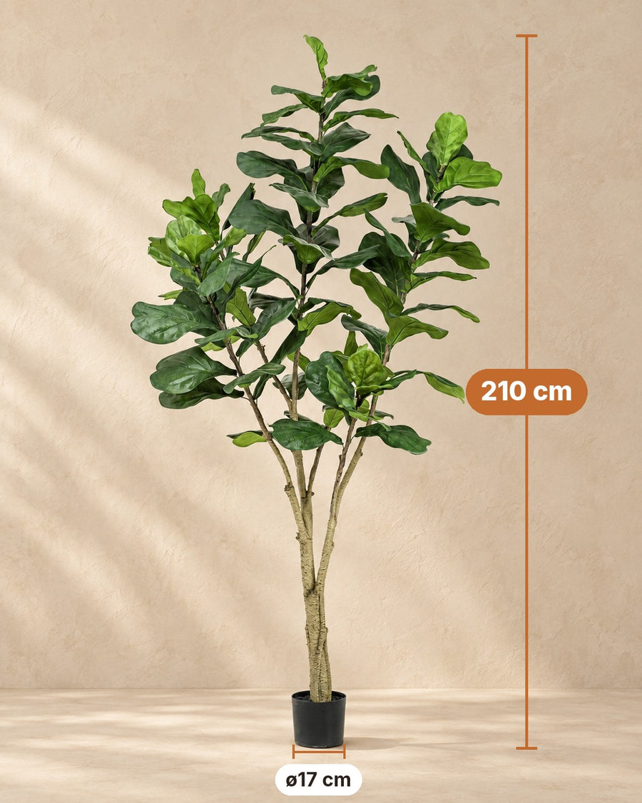 Kunstplant Ficus lyrata 210 cm