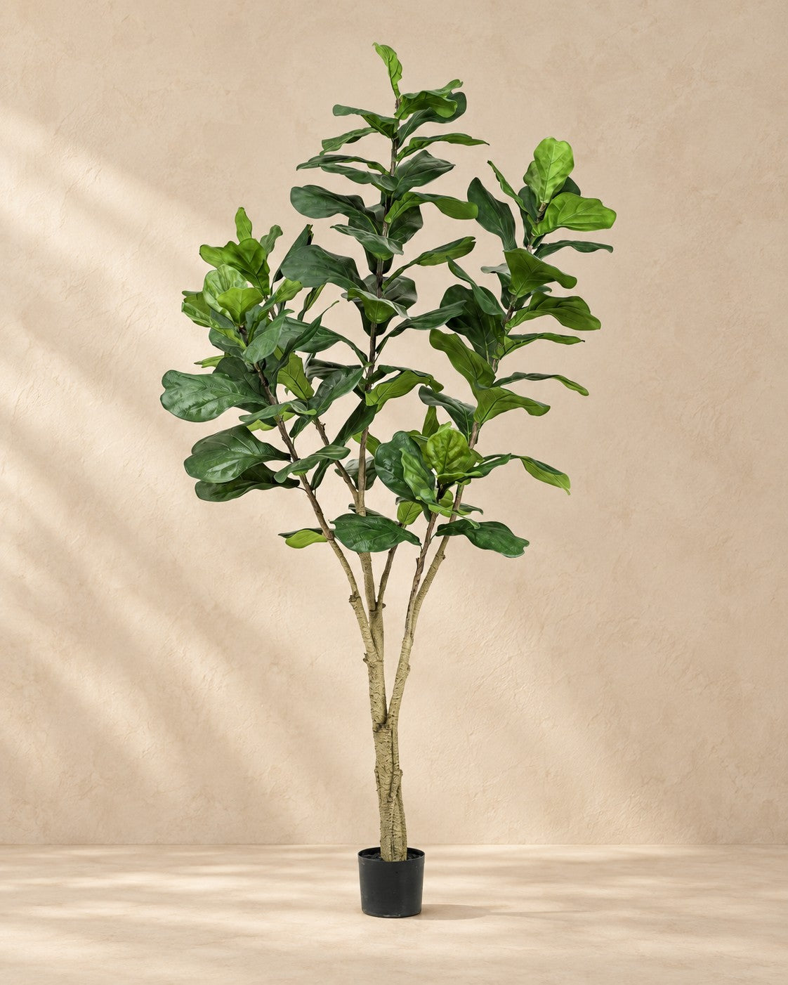 Sztuczna roślina Ficus lyrata, wysokość 210 cm, w doniczce 17 cm