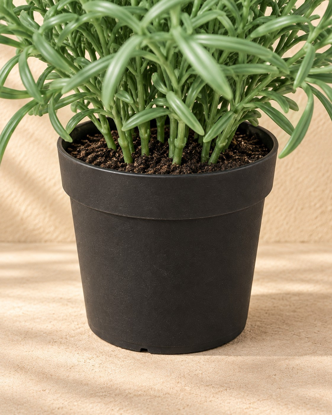 Onderste deel van de Kunstplant Helichrysum Italicum met de pot