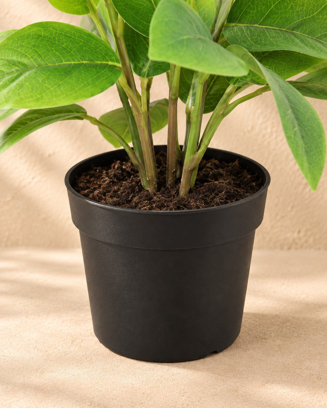 Onderste deel van de Kunstplant Hoya groen (Hoya sp.) met de pot