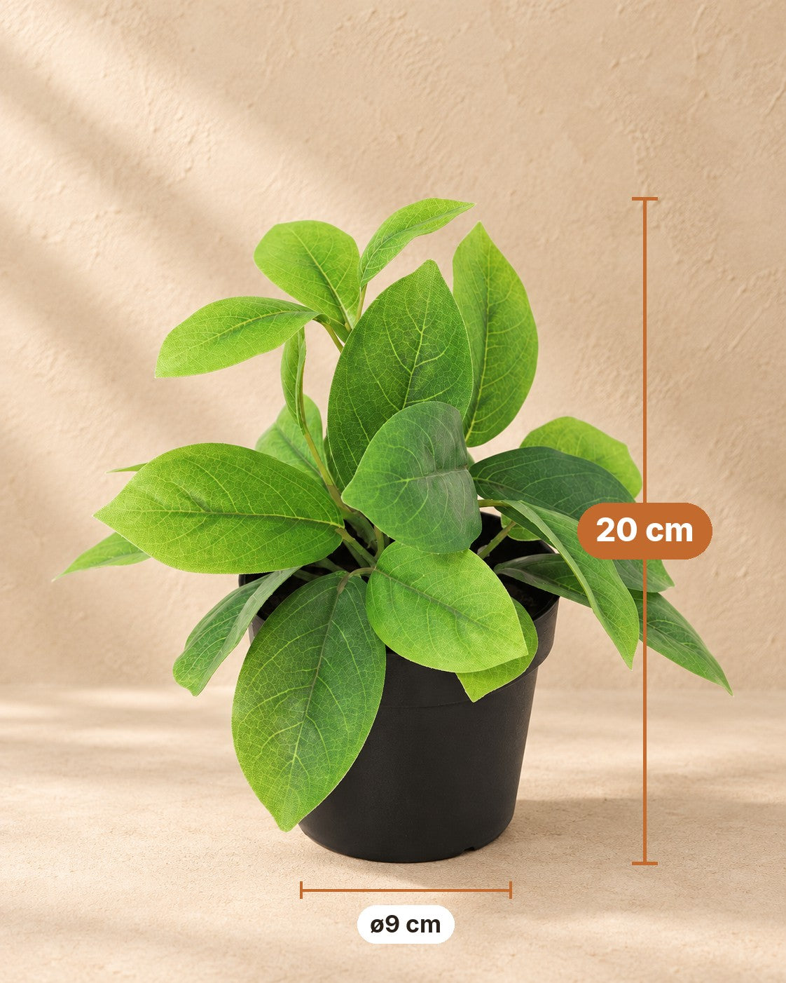 Afmetingen Kunstplant Hoya groen: 20 cm hoog, pot ø9 cm