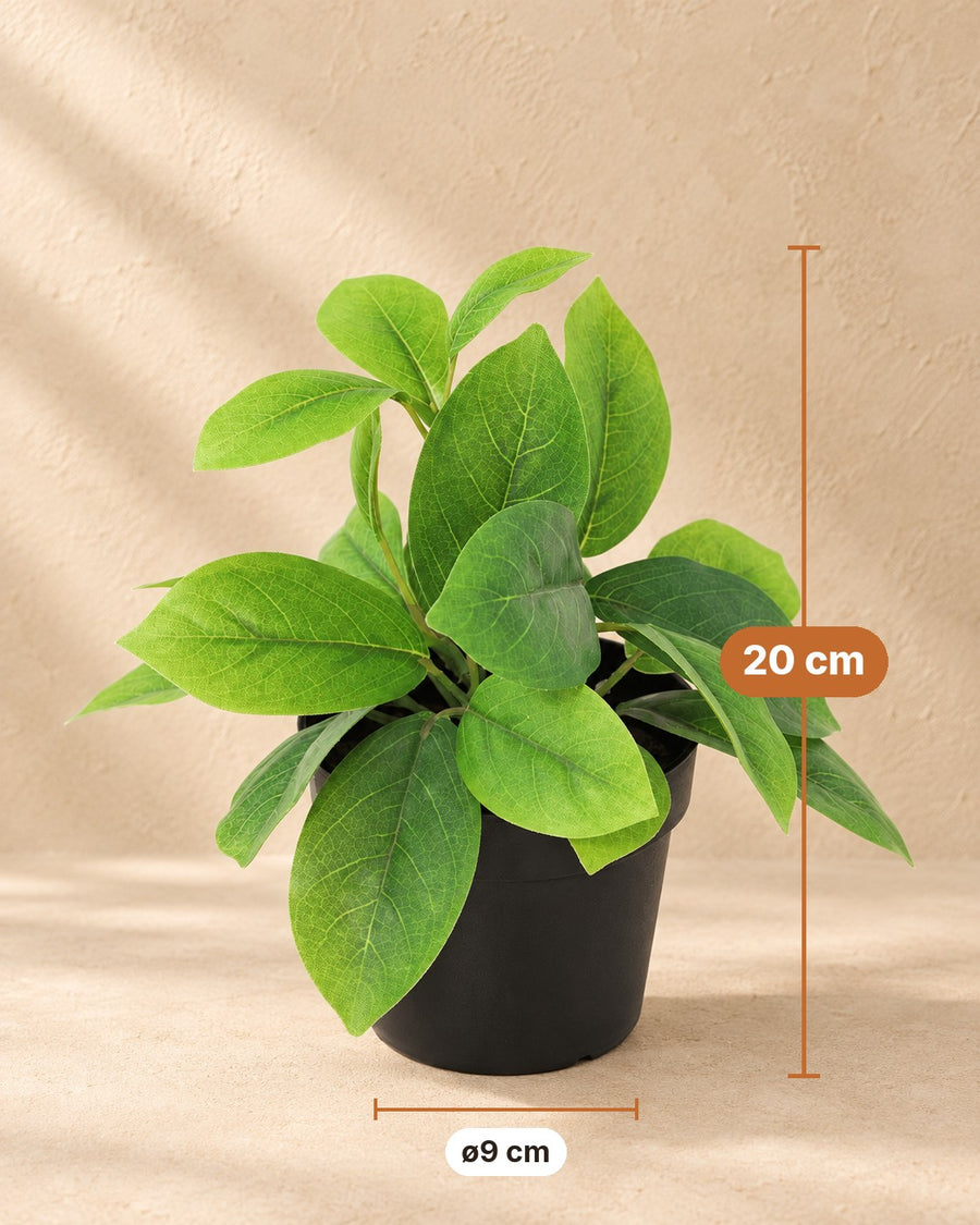 Kunstplant Hoya groen 20cm - ø9