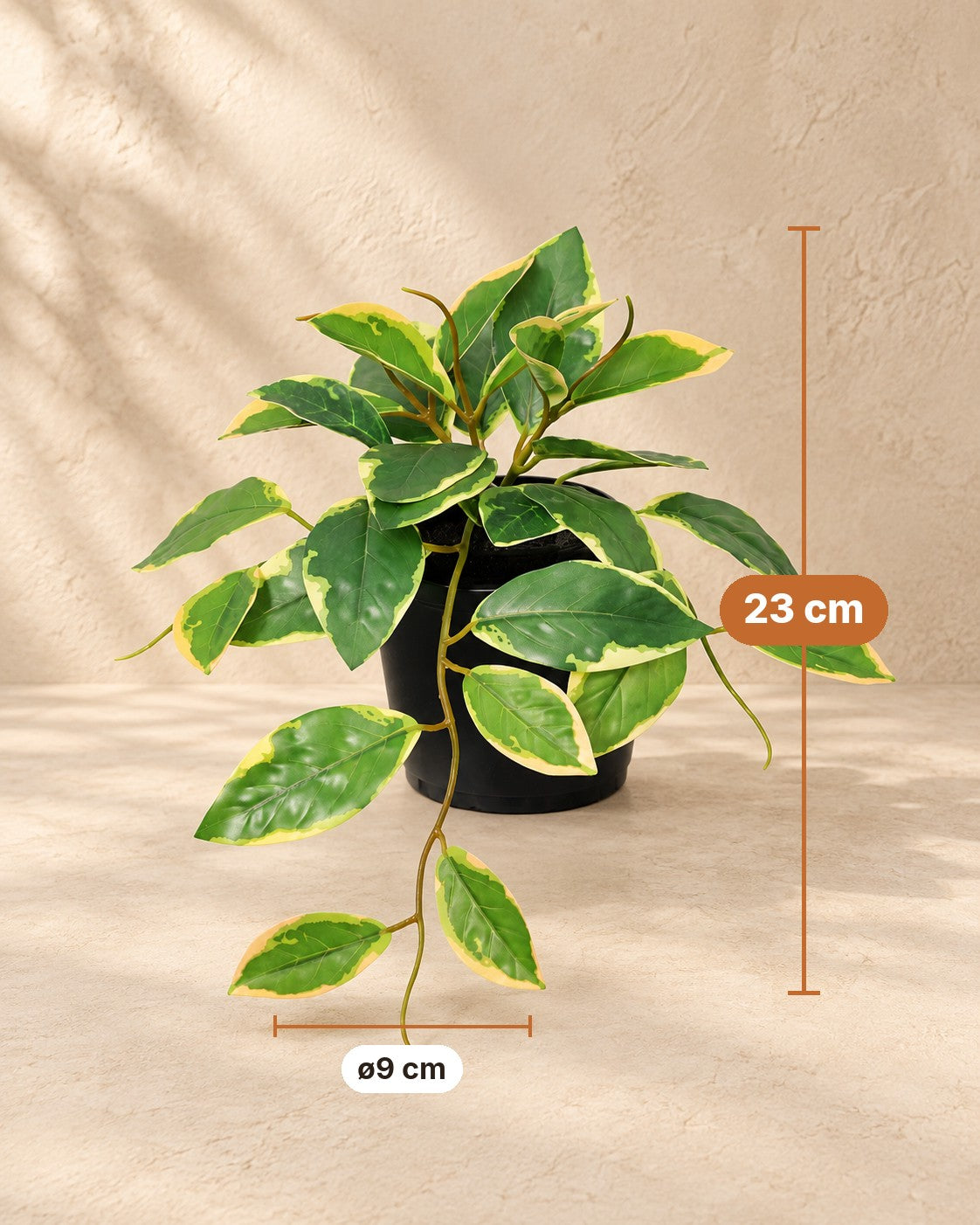 Maße Kunstpflanze Hoya Variegata: 23 cm hoch, Topf ø9 cm