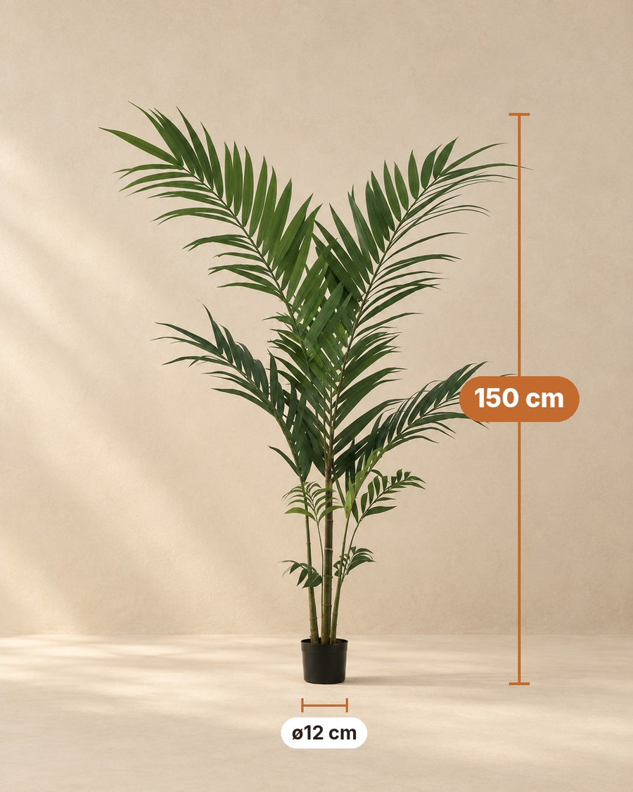 Kunstplant Kentiapalm (Howea forsteriana), 150 cm hoog